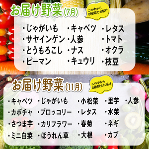 コトコトファーム 旬の有機栽培野菜セット 野菜 セット 有機JAS 詰め合わせ 国産 旬 季節 おまかせ お楽しみ 冷蔵 【コトコトファーム】【ho1602】