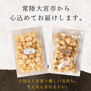 天日干し揚げおかき 食べ比べセット 醤油 塩 チーズ カレー ギフト お菓子 おやつ スナック 手造り 手揚げ 国産原料 【三代目 伊勢屋】【ho1590】
