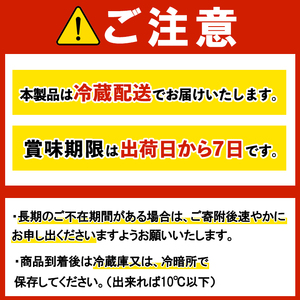 生パスタ フェットチーネ スパゲッティーニ 麺のみ 6ヶ月 定期便 パスタ 詰め合わせ 小分け 【（有）中橋製麺所】【ho1614】