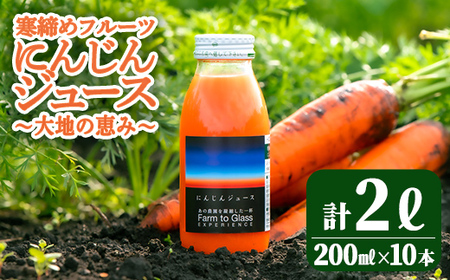 寒締めフルーツ にんじんジュース ～大地の恵み～ 200ml 10本入り ニンジン にんじん 有機野菜 有機 オーガニック JAS ジュース 常温 常温保存 贈答 ギフト 詰め合わせ 【株式会社レインボーフューチャー】【ho1605】
