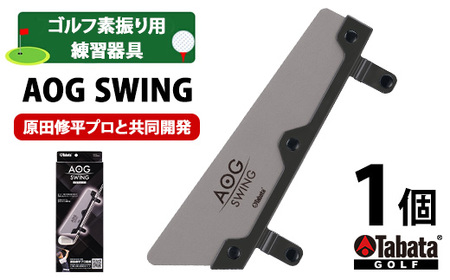 タバタ Tabata AOG SWING（アオグスイング） GV0379 ゴルフ ゴルフ用品 【スイング】【ho1659】