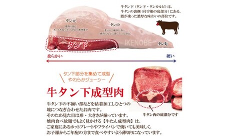 肉汁ジューシー牛舌(下)カルビ成型肉焼肉用　計2kg(250g×8パック)   カルビ 焼肉 牛肉 【牛タン】【ho1661】