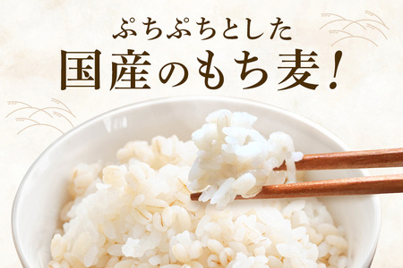 常陸大宮産 もち麦 キラリモチ 300g×3袋 大麦 雑穀 食物繊維