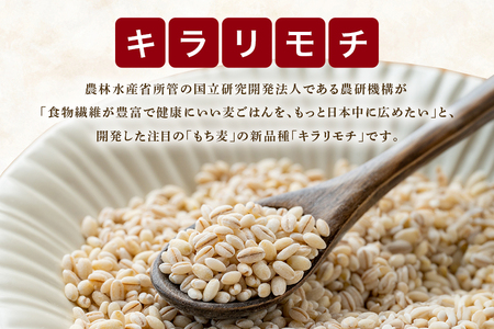 キラリモチの食物繊維は 精白米の約25倍! もち性大麦 (キラリモチ) 北海道 もち麦 キラリモチ（減農薬） - お米・雑穀の通販 石川商店