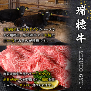 瑞穂牛 焼肉セット 約500g 牛肉 バラ 肩ロース 肩 肩バラ トモサンカク イチボ 