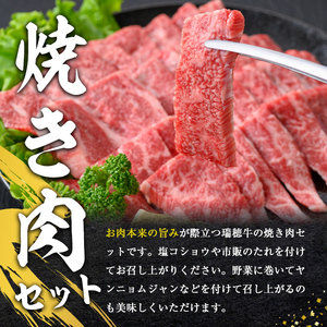 瑞穂牛 焼肉セット 約500g 牛肉 バラ 肩ロース 肩 肩バラ トモサンカク イチボ 