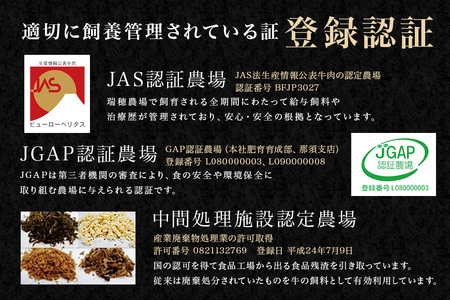 瑞穂牛上すき焼きセット 約0.5Kg 500g ブランド牛 A4 A5 A4ランク A5ランク 赤身 和牛 国産 肉 牛肉 瑞穂牛 肩ロース ミスジ  霜降り すき焼き しゃぶしゃぶ 牛しゃぶ スライス お肉 国産牛 焼肉 焼き肉 牛モモ 牛肩 すきやき 牛すき 冷凍