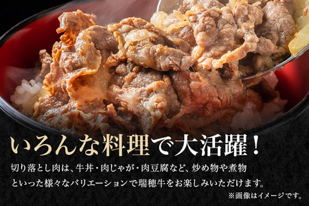 瑞穂牛切り落としセット 約800g 冷凍配送 牛肉 ブランド牛 A4 A5 A4ランク A5ランク 茨城県 モモ ばら かた 赤身 霜降り 部位ミックス 国産 切り落とし 国産牛 柔らか 牛丼 肉じゃが 冷凍 お取り寄せ