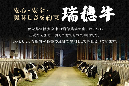 瑞穂牛挽肉セット 約1Kg 1000g 牛肉 瑞穂牛 ひき肉 ブランド牛 茨城県 ミンチ 冷凍配送 200g×5袋パック 小分け 牛ミンチ 和牛 お肉 肉 おにく にく 国産牛 挽き肉 挽肉 お取り寄せ グルメ ハンバーグ キーマカレー 特産品 冷凍