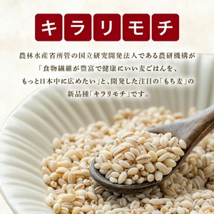 常陸大宮産“もち麦”キラリモチ.300g×6袋【もち麦】【ho1250】