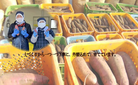 2026年2月発送 先行予約 干し芋工房 風と太陽の小芋焼き芋 1.8kg しっとり甘い おいも いも 芋 茨城県産 国産 無添加 和菓子 お菓子 おやつ スイーツ お取り寄せ さつまいも