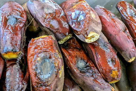 2026年2月発送 先行予約 干し芋工房 風と太陽の小芋焼き芋 1.8kg しっとり甘い おいも いも 芋 茨城県産 国産 無添加 和菓子 お菓子 おやつ スイーツ お取り寄せ さつまいも