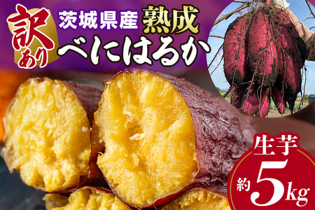 訳あり品!茨城県産熟成べにはるか 約5kg さつまいも サツマイモ 芋 いも 茨城県 那珂市 B15-005