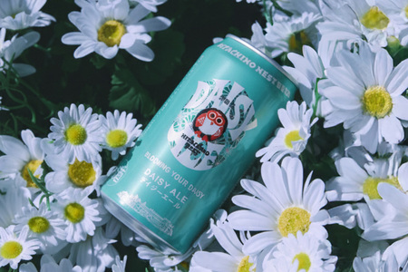 【ふるなびWEEK対象】 常陸野ネストビール デイジーエール（缶） A08-040 FN-Limited-WE