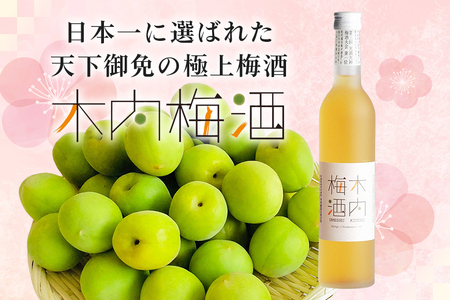 木内梅酒 3本セット 500ml×3本 梅酒