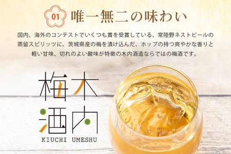 木内梅酒 3本セット 500ml×3本 梅酒