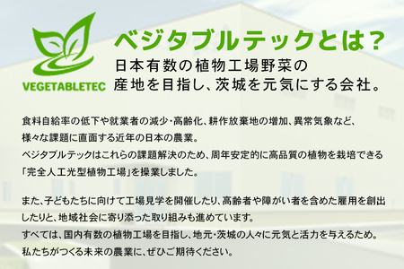 リーフレタスセット 約2Kg 那珂市産 新鮮 レタス リーフレタス フリルレタス グリーンリーフ 無農薬 野菜 栽培期間中農薬不使用 詰め合わせ セット 水耕栽培 LED 栽培 ベジタブル 副菜 常備菜 サラダ ヴィーガン ヘルシー
