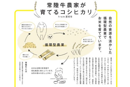 定期便 常陸牛農家が育てるコシヒカリ 10kg×12回 令和6年度産 米 お米 白米 こめ 精米 取り寄せ 特産 ごはん ご飯 コメ お取り寄せ ギフト 贈り物 お弁当 弁当 おにぎり ふっくら ツヤツヤ 甘い 農家直送 産地直送 国産 茨城県産