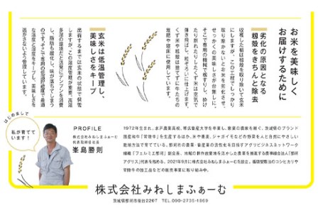 定期便 常陸牛農家が育てるコシヒカリ 10kg×12回 令和6年度産 米 お米 白米 こめ 精米 取り寄せ 特産 ごはん ご飯 コメ お取り寄せ ギフト 贈り物 お弁当 弁当 おにぎり ふっくら ツヤツヤ 甘い 農家直送 産地直送 国産 茨城県産