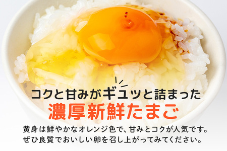 平飼いたまご ひまわりっこ 24個 (22個＋割れ補償2個) 1箱 卵 鶏卵 高品質 贈答 お歳暮 那珂市 国産 高級 安心 平飼い たまご 玉子 無選別 コク旨 濃厚 黄身 白身 地鶏 たまごかけごはんにぴったり L-1