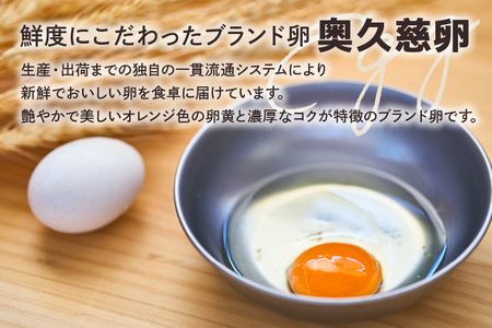 【ふるなびWEEK対象】 クリームパン 10個セット 4種類 冷凍 パン工房ぐるぐる FN-Limited-PR