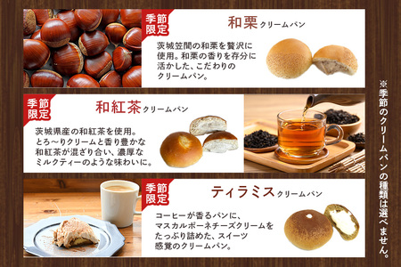 【ふるなびWEEK対象】 クリームパン 10個セット 4種類 冷凍 パン工房ぐるぐる FN-Limited-PR
