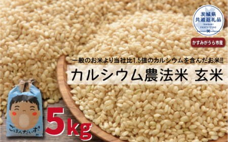 カルシウム農法米　玄米5kg（茨城県共通返礼品・かすみがうら市産）