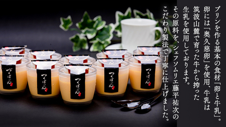 【 つくばぷりん 】 ゴールドぷりん 10個入り [DL002ci]