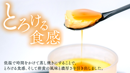 【 つくばぷりん 】 ゴールドぷりん 10個入り [DL002ci]