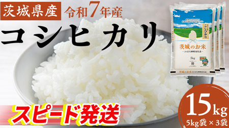 スピード発送!! 【12/24入金確認分まで年内配送】【 令和7年産 】 茨城県産 コシヒカリ 15kg ( 5kg × 3袋 ) [DK003ci]