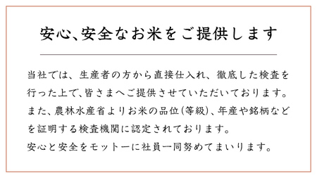 スピード発送!! 【12/24入金確認分まで年内配送】【 令和7年産 】 茨城県産 コシヒカリ 20kg ( 5kg × 4袋 ) [DK004ci]