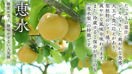 【 JA 北つくば 】 筑西ブランド 認証品 恵水 5kg 2026年産 先行予約 [AE024ci]