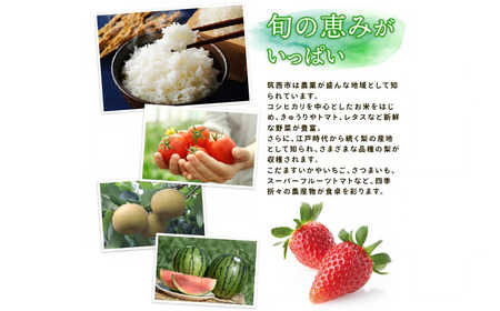 【 JA 北つくば 】 筑西ブランド 認証品 恵水 5kg 2026年産 先行予約