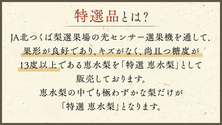 【 JA 北つくば 】 筑西ブランド 認証品 特選!! 恵水 5kg 2026年産 先行予約 梨 [AE025ci]