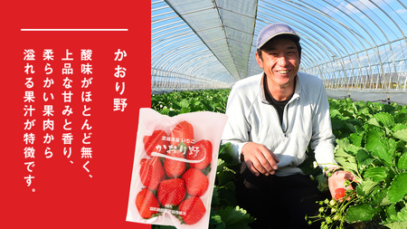 【 2ヶ月 定期便 】完熟 いちご 4パック [AF100ci]