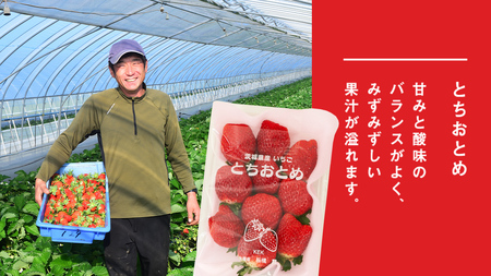 【 2ヶ月 定期便 】完熟 いちご 4パック [AF100ci]