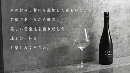 SAKENOVA 2023 [DQ001ci]