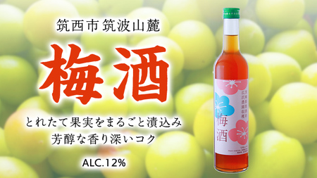 梅酒 アルコール 12％ （ 500ml × 1本 ） 果実酒 お酒 酒 梅 うめ ウメ [DP001ci] | 茨城県筑西市 |  ふるさと納税サイト「ふるなび」