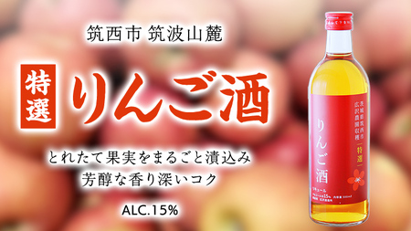 特選 】 りんご酒 アルコール 15％ （ 500ml × 1本 ） 果実酒 お酒 酒 リンゴ りんご 林檎 [DP006ci] | 茨城県筑西市 |  ふるさと納税サイト「ふるなび」