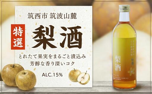 【 特選 】 梨酒 アルコール 15％ （ 500ml × 1本 ） [DP007ci]