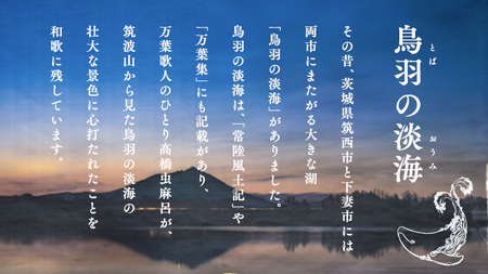 特別純米酒 《 鳥羽ノ淡海 （とばのおうみ）》 日本酒 [AM021ci]