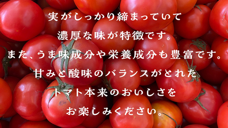 箱守果樹園 直送！ 「 王様トマト 」 1箱 4kg 野菜 トマト とまと [DE002ci]