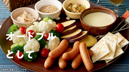 【 定期便 12ヶ月 】 毎月お届け！ シャウエッセン 6束セット [AA096ci]