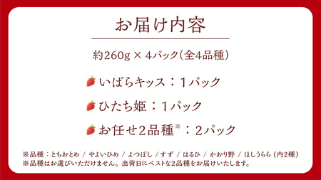 【 茨城いちごグランプリ 受賞 農園 】 完熟 いちご 4品種 食べ比べ セット イチゴ 苺 フルーツ 果物 果実 いばらキッス ひたち姫 とちおとめ やよいひめ よつぼし すず はるひ かおり野 ほしうらら [DY001ci]