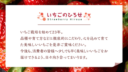 【 茨城いちごグランプリ 受賞 農園 】 完熟 いちご 4品種 食べ比べ セット イチゴ 苺 フルーツ 果物 果実 いばらキッス ひたち姫 とちおとめ やよいひめ よつぼし すず はるひ かおり野 ほしうらら [DY001ci]
