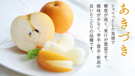 【 JA 北つくば 】 筑西ブランド 認証品 あきづき 5kg 2026年産 先行予約 梨 [AE028ci]
