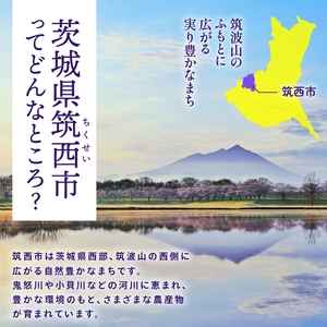 【 JA 北つくば 】 筑西ブランド 認証品 あきづき 5kg 2026年産 先行予約 梨