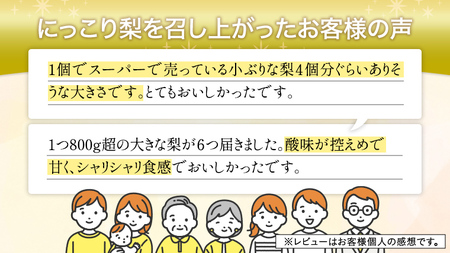 【 JA 北つくば 】 筑西ブランド 認証品 にっこり 5kg 2026年産 先行予約 梨 [AE030ci]