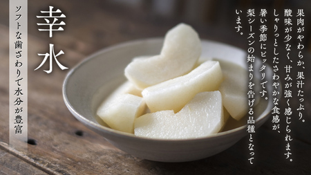 【 JA 北つくば 】 筑西ブランド 認証品 梨 3種 定期便 セット 2026年産 先行予約 [AE031ci]