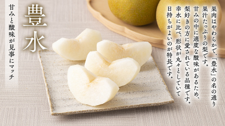 【 JA 北つくば 】 筑西ブランド 認証品 梨 3種 定期便 セット 2026年産 先行予約 [AE031ci]